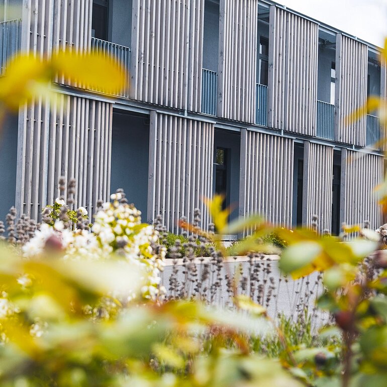 Gebäude am Dataflor Unternehmensstandort mit begrünter Außenanlage